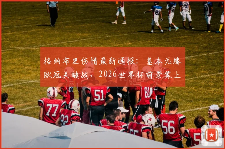 格纳布里伤情最新通报:基本无缘欧冠关键战,2026世界杯前景蒙上阴影,拜仁如何应对?
